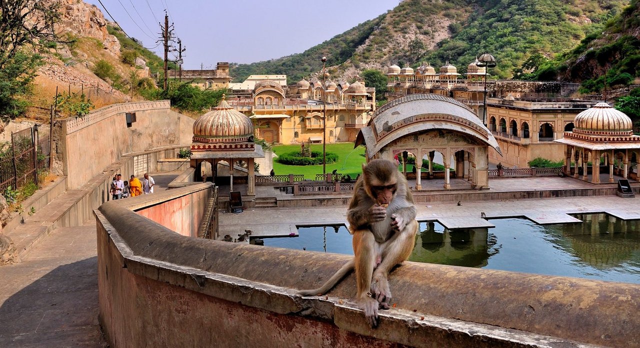 Ngôi đền Galtaji là địa điểm du lịch hút khách ở Ấn Độ
