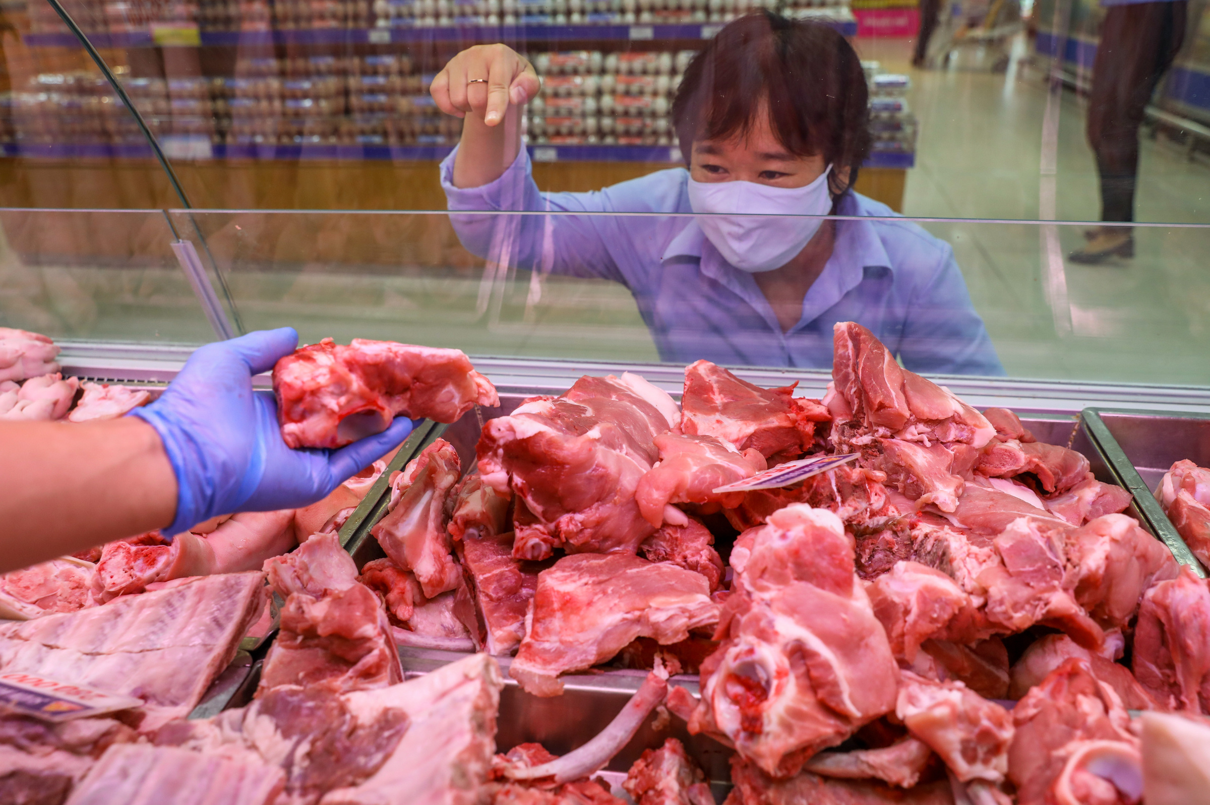 Giá lợn tại Quảng Bình được thu mua với giá cao nhất khu vực