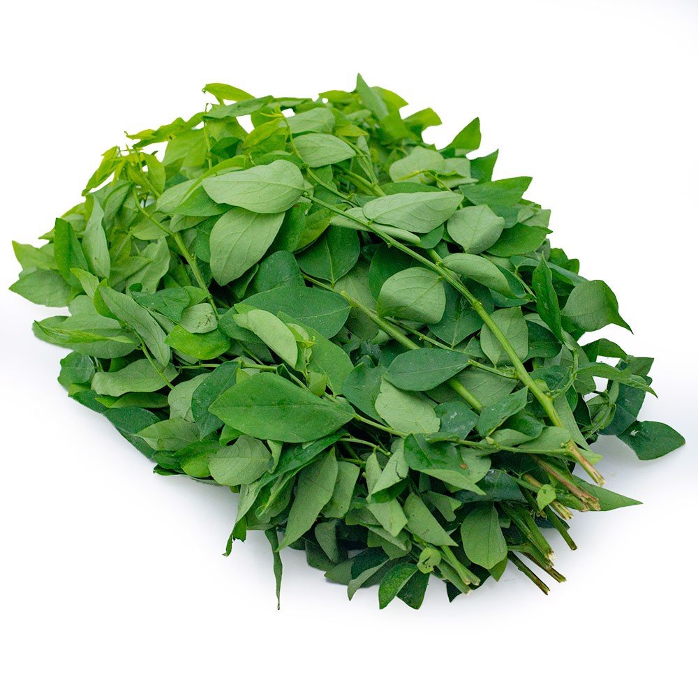 Rau ngót là một loại rau phổ biến, thông dụng trong bữa ăn của người Việt. 